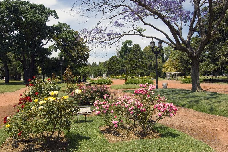 20071201_121420  D2X 4200x2800.jpg - Rose Gardens, Palermo Woods, Buenos Aires, Argentina